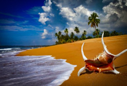 Travelstar Holidays